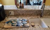 Sand Dollars Dish Drying Mat Absorbent Dish Drying Mat Pad for Kitchen Counter Dish Drainer Mat for Countertop, 14 x 21", Multicolor