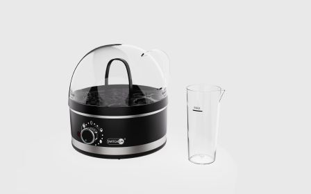 Mini Multifunctional Household Plug-in Steam Boiler - Eggs (Option: Black-US)